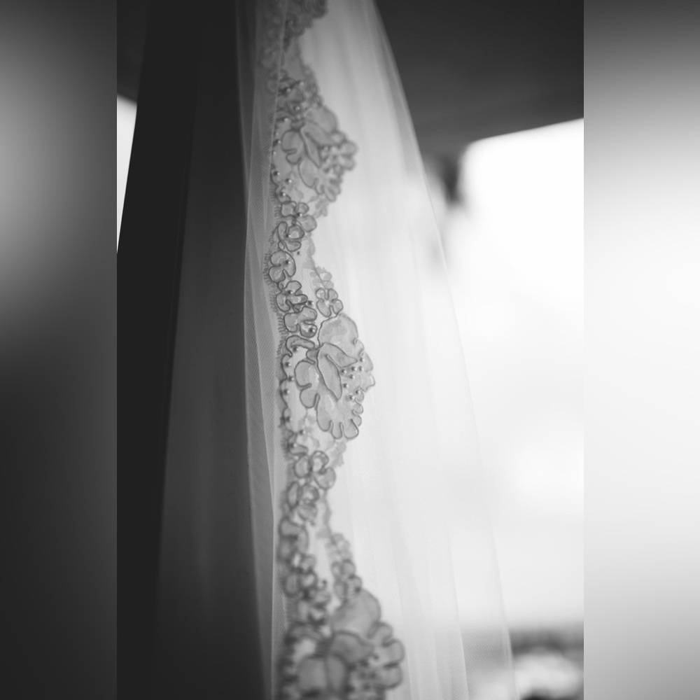 Ivory, tulle, lace cathedral length wedding veil.